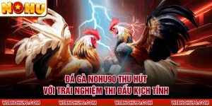 Đá Gà NOHU90 Thu Hút Với Trải Nghiệm Thi Đấu Kịch Tính